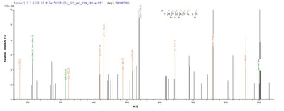 Based on the SEQUEST from database of E.coli host and target protein, the LC-MS/MS Analysis result of this product could indicate that this peptide derived from E.coli-expressed Homo sapiens (Human) VAMP2.