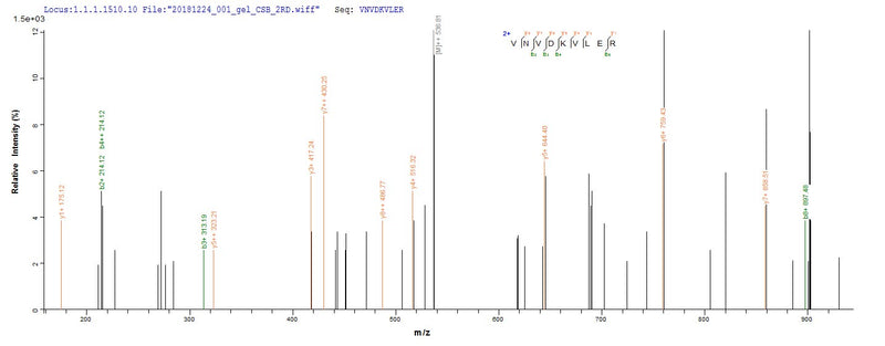 Based on the SEQUEST from database of E.coli host and target protein, the LC-MS/MS Analysis result of this product could indicate that this peptide derived from E.coli-expressed Homo sapiens (Human) VAMP2.