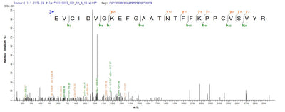 Based on the SEQUEST from database of E.coli host and target protein, the LC-MS/MS Analysis result of this product could indicate that this peptide derived from E.coli-expressed Mus musculus (Mouse) Vegfc.Recombinant Mouse Vascular Endothelial Growth Factor C (VEGFC) Protein (His)