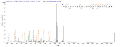 Based on the SEQUEST from database of E.coli host and target protein, the LC-MS/MS Analysis result of this product could indicate that this peptide derived from E.coli-expressed Mus musculus (Mouse) Vegfc.Recombinant Mouse Vascular Endothelial Growth Factor C (VEGFC) Protein (His)