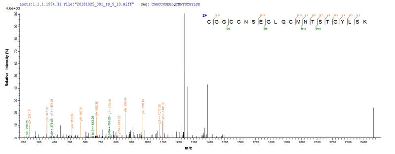 Based on the SEQUEST from database of E.coli host and target protein, the LC-MS/MS Analysis result of this product could indicate that this peptide derived from E.coli-expressed Mus musculus (Mouse) Vegfc.Recombinant Mouse Vascular Endothelial Growth Factor C (VEGFC) Protein (His)