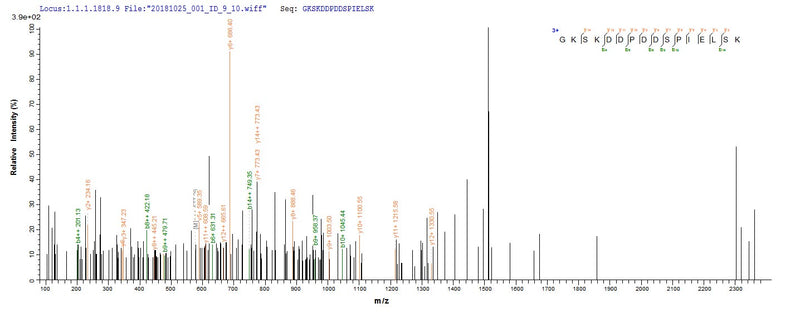 Based on the SEQUEST from database of E.coli host and target protein, the LC-MS/MS Analysis result of this product could indicate that this peptide derived from E.coli-expressed Mus musculus (Mouse) Veph1.Recombinant Mouse Ventricular Zone-Expressed Ph Domain-Containing Protein 1 (VEPH1) Protein (His&Myc)