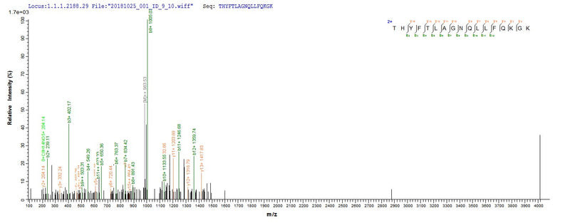 Based on the SEQUEST from database of E.coli host and target protein, the LC-MS/MS Analysis result of this product could indicate that this peptide derived from E.coli-expressed Mus musculus (Mouse) Veph1.Recombinant Mouse Ventricular Zone-Expressed Ph Domain-Containing Protein 1 (VEPH1) Protein (His&Myc)
