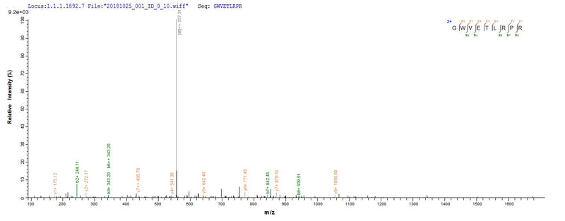 Based on the SEQUEST from database of E.coli host and target protein, the LC-MS/MS Analysis result of this product could indicate that this peptide derived from E.coli-expressed Homo sapiens (Human) WNT3A.Recombinant Human Protein Wnt-3A (WNT3A) Protein (His)