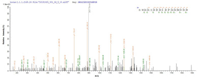 Based on the SEQUEST from database of E.coli host and target protein, the LC-MS/MS Analysis result of this product could indicate that this peptide derived from E.coli-expressed Homo sapiens (Human) WNT3A.Recombinant Human Protein Wnt-3A (WNT3A) Protein (His)