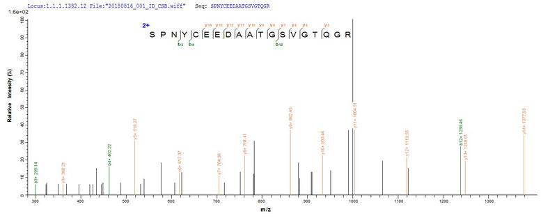 Based on the SEQUEST from database of E.coli host and target protein, the LC-MS/MS Analysis result of this product could indicate that this peptide derived from E.coli-expressed Mus musculus (Mouse) Wnt7b.Recombinant Mouse Protein Wnt-7B (WNT7B) Protein (His-SUMO&Myc)