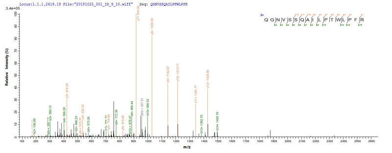 Based on the SEQUEST from database of E.coli host and target protein, the LC-MS/MS Analysis result of this product could indicate that this peptide derived from E.coli-expressed Homo sapiens (Human) ZP3.Recombinant Human Zona Pellucida Sperm-Binding Protein 3 (ZP3) Protein (His-SUMO)