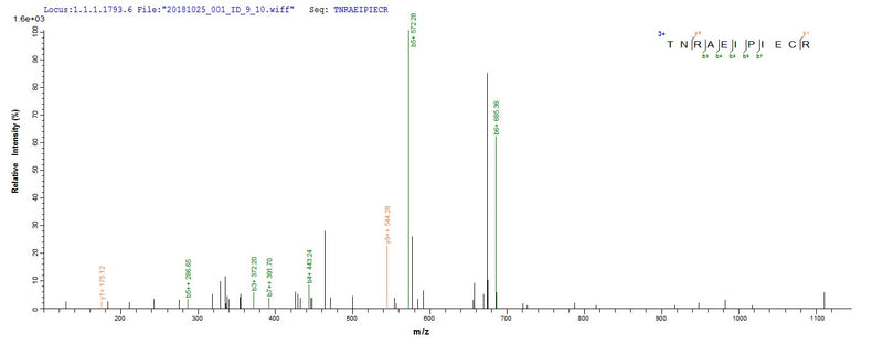 Based on the SEQUEST from database of E.coli host and target protein, the LC-MS/MS Analysis result of this product could indicate that this peptide derived from E.coli-expressed Homo sapiens (Human) ZP3.Recombinant Human Zona Pellucida Sperm-Binding Protein 3 (ZP3) Protein (His-SUMO)