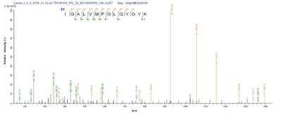 Based on the SEQUEST from database of E.coli host and target protein, the LC-MS/MS Analysis result of this product could indicate that this peptide derived from E.coli-expressed Pseudomonas putida (Arthrobacter siderocapsulatus) crnA.