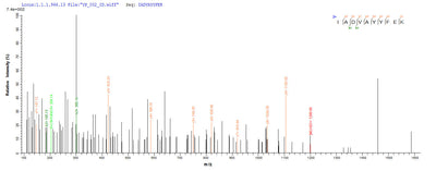 Based on the SEQUEST from database of E.coli host and target protein, the LC-MS/MS Analysis result of this product could indicate that this peptide derived from E.coli-expressed Homo sapiens (Human) EPCAM.