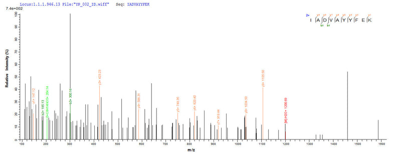 Based on the SEQUEST from database of E.coli host and target protein, the LC-MS/MS Analysis result of this product could indicate that this peptide derived from E.coli-expressed Homo sapiens (Human) EPCAM.Recombinant Human Epithelial Cell Adhesion Molecule (EPCAM) Protein (His-SUMO)