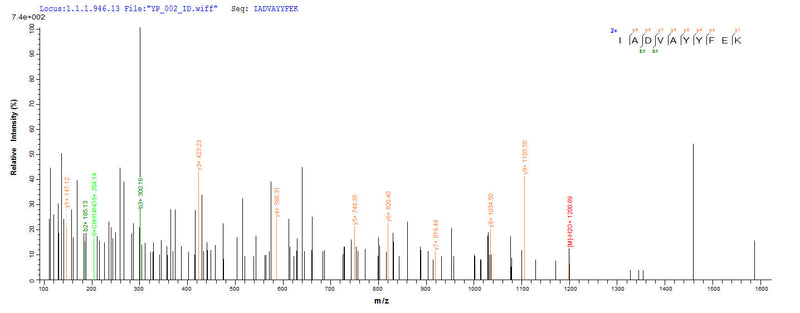 Based on the SEQUEST from database of E.coli host and target protein, the LC-MS/MS Analysis result of this product could indicate that this peptide derived from E.coli-expressed Homo sapiens (Human) EPCAM.