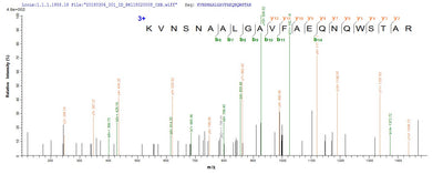 Based on the SEQUEST from database of E.coli host and target protein, the LC-MS/MS Analysis result of this product could indicate that this peptide derived from E.coli-expressed Japanese encephalitis virus N/A.Recombinant Japanese Encephalitis Virus Genome Polyprotein (NS5) Protein (His-SUMO)