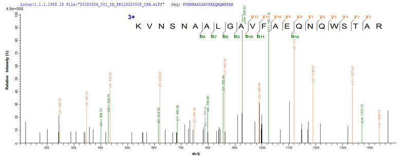 Based on the SEQUEST from database of E.coli host and target protein, the LC-MS/MS Analysis result of this product could indicate that this peptide derived from E.coli-expressed Japanese encephalitis virus N/A.Recombinant Japanese Encephalitis Virus Genome Polyprotein (NS5) Protein (His-SUMO)