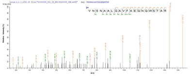 Based on the SEQUEST from database of E.coli host and target protein, the LC-MS/MS Analysis result of this product could indicate that this peptide derived from E.coli-expressed Japanese encephalitis virus N/A.Recombinant Japanese Encephalitis Virus Genome Polyprotein (NS5) Protein (His-SUMO)