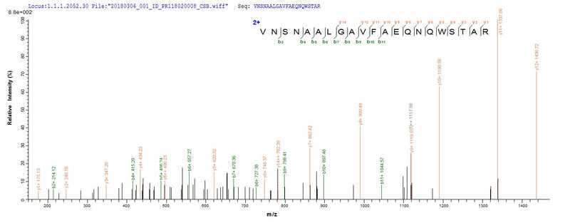 Based on the SEQUEST from database of E.coli host and target protein, the LC-MS/MS Analysis result of this product could indicate that this peptide derived from E.coli-expressed Japanese encephalitis virus N/A.Recombinant Japanese Encephalitis Virus Genome Polyprotein (NS5) Protein (His-SUMO)