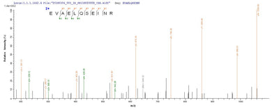 Based on the SEQUEST from database of E.coli host and target protein, the LC-MS/MS Analysis result of this product could indicate that this peptide derived from E.coli-expressed Clostridium botulinum (strain Hall / ATCC 3502 / NCTC 13319 / Type A) CBO2730.