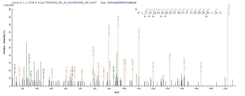 Based on the SEQUEST from database of E.coli host and target protein, the LC-MS/MS Analysis result of this product could indicate that this peptide derived from E.coli-expressed Clostridium botulinum (strain Hall / ATCC 3502 / NCTC 13319 / Type A) CBO2730.