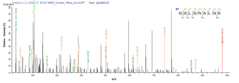 Based on the SEQUEST from database of E.coli host and target protein, the LC-MS/MS Analysis result of this product could indicate that this peptide derived from E.coli-expressed Wuchereria bancrofti wb123.