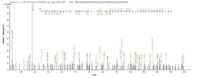 Based on the SEQUEST from database of E.coli host and target protein, the LC-MS/MS Analysis result of this product could indicate that this peptide derived from E.coli-expressed Lachnospiraceae bacterium A4 N/A.Recombinant Lachnospiraceae Bacterium A4 Flagellin