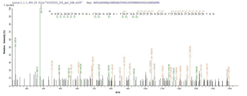 Based on the SEQUEST from database of E.coli host and target protein, the LC-MS/MS Analysis result of this product could indicate that this peptide derived from E.coli-expressed Lachnospiraceae bacterium A4 N/A.Recombinant Lachnospiraceae Bacterium A4 Flagellin