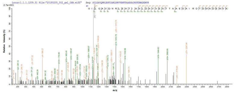 Based on the SEQUEST from database of E.coli host and target protein, the LC-MS/MS Analysis result of this product could indicate that this peptide derived from E.coli-expressed Lachnospiraceae bacterium A4 N/A.Recombinant Lachnospiraceae Bacterium A4 Flagellin