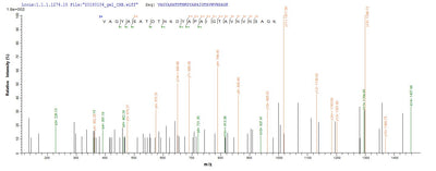 Based on the SEQUEST from database of E.coli host and target protein, the LC-MS/MS Analysis result of this product could indicate that this peptide derived from E.coli-expressed Escherichia coli O157:H7 fliC.Recombinant E.Coli O157:H7 Flagellin (FLIC)