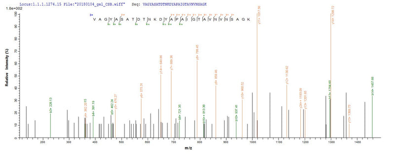 Based on the SEQUEST from database of E.coli host and target protein, the LC-MS/MS Analysis result of this product could indicate that this peptide derived from E.coli-expressed Escherichia coli O157:H7 fliC.Recombinant E.Coli O157:H7 Flagellin (FLIC)