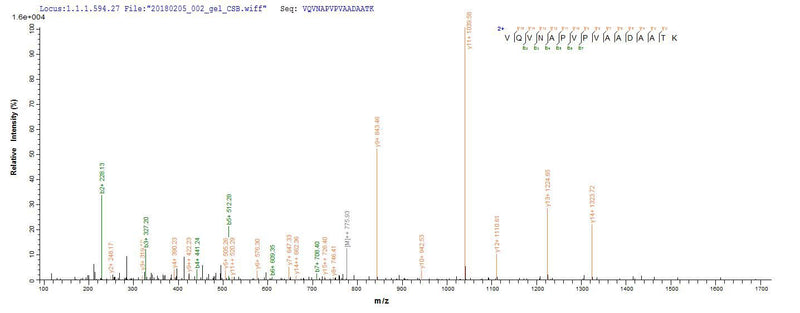 Based on the SEQUEST from database of E.coli host and target protein, the LC-MS/MS Analysis result of this product could indicate that this peptide derived from E.coli-expressed Salmonella enterica I fljB.Recombinant Salmonella Enterica I Flagellin (FLJB)