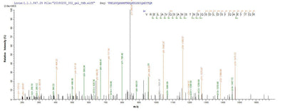 Based on the SEQUEST from database of E.coli host and target protein, the LC-MS/MS Analysis result of this product could indicate that this peptide derived from E.coli-expressed Salmonella enterica I fljB.Recombinant Salmonella Enterica I Flagellin (FLJB)