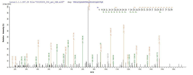 Based on the SEQUEST from database of E.coli host and target protein, the LC-MS/MS Analysis result of this product could indicate that this peptide derived from E.coli-expressed Salmonella enterica I fljB.Recombinant Salmonella Enterica I Flagellin (FLJB)