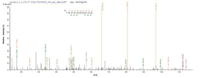 Based on the SEQUEST from database of E.coli host and target protein, the LC-MS/MS Analysis result of this product could indicate that this peptide derived from E.coli-expressed Crassostrea gigas N/A.