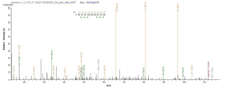 Based on the SEQUEST from database of E.coli host and target protein, the LC-MS/MS Analysis result of this product could indicate that this peptide derived from E.coli-expressed Crassostrea gigas N/A.