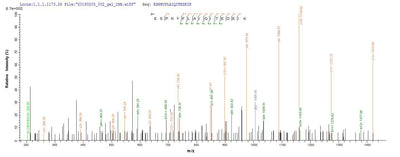 Based on the SEQUEST from database of E.coli host and target protein, the LC-MS/MS Analysis result of this product could indicate that this peptide derived from E.coli-expressed Crassostrea gigas N/A.