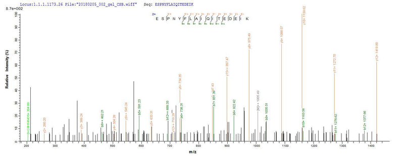 Based on the SEQUEST from database of E.coli host and target protein, the LC-MS/MS Analysis result of this product could indicate that this peptide derived from E.coli-expressed Crassostrea gigas N/A.
