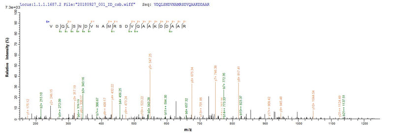 Based on the SEQUEST from database of E.coli host and target protein, the LC-MS/MS Analysis result of this product could indicate that this peptide derived from E.coli-expressed Escherichia coli (strain K12) lpp.Recombinant E.Coli Major Outer Membrane Lipoprotein Lpp (LPP) Protein (His-KSI)