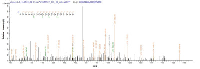 Based on the SEQUEST from database of E.coli host and target protein, the LC-MS/MS Analysis result of this product could indicate that this peptide derived from E.coli-expressed Escherichia coli (strain K12) lpp.Recombinant E.Coli Major Outer Membrane Lipoprotein Lpp (LPP) Protein (His-KSI)