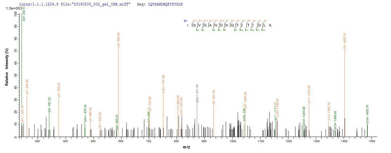 Based on the SEQUEST from database of E.coli host and target protein, the LC-MS/MS Analysis result of this product could indicate that this peptide derived from E.coli-expressed Escherichia coli (strain K12) fliC.Recombinant E.Coli Flagellin (FLIC)