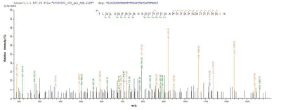 Based on the SEQUEST from database of E.coli host and target protein, the LC-MS/MS Analysis result of this product could indicate that this peptide derived from E.coli-expressed Escherichia coli (strain K12) fliC.Recombinant E.Coli Flagellin (FLIC)