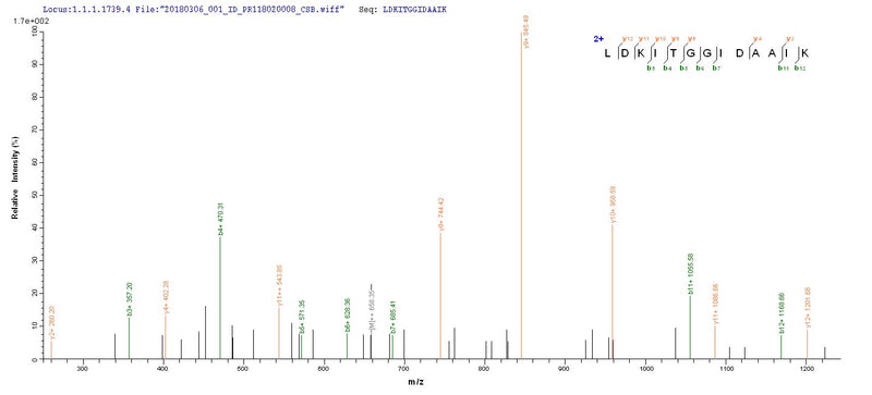 Based on the SEQUEST from database of E.coli host and target protein, the LC-MS/MS Analysis result of this product could indicate that this peptide derived from E.coli-expressed Mycoplasma pneumoniae (strain ATCC 29342 / M129) dnaK.