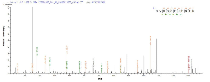 Based on the SEQUEST from database of E.coli host and target protein, the LC-MS/MS Analysis result of this product could indicate that this peptide derived from E.coli-expressed Helicobacter pylori (Campylobacter pylori) cagA.Recombinant Helicobacter Pylori Cytotoxicity-Associated Immunodominant Antigen (CAGA) Protein (His-SUMO)