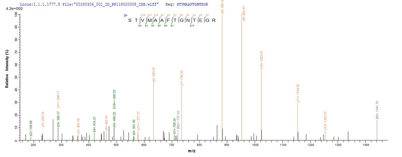 Based on the SEQUEST from database of E.coli host and target protein, the LC-MS/MS Analysis result of this product could indicate that this peptide derived from E.coli-expressed Influenza A virus (strain A/Shanghai/16/1989 H3N2) NP.Recombinant Influenza A Virus Nucleoprotein (NP) Protein (His)