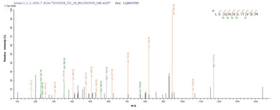 Based on the SEQUEST from database of E.coli host and target protein, the LC-MS/MS Analysis result of this product could indicate that this peptide derived from E.coli-expressed Influenza A virus (strain A/Shanghai/16/1989 H3N2) NP.Recombinant Influenza A Virus Nucleoprotein (NP) Protein (His)