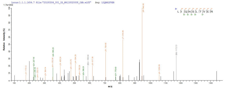 Based on the SEQUEST from database of E.coli host and target protein, the LC-MS/MS Analysis result of this product could indicate that this peptide derived from E.coli-expressed Influenza A virus (strain A/Shanghai/16/1989 H3N2) NP.Recombinant Influenza A Virus Nucleoprotein (NP) Protein (His)