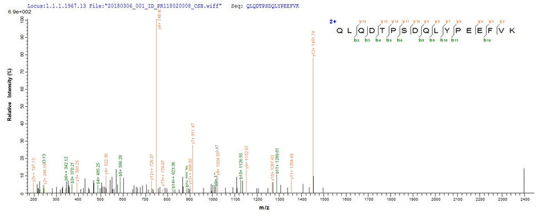 Based on the SEQUEST from database of E.coli host and target protein, the LC-MS/MS Analysis result of this product could indicate that this peptide derived from E.coli-expressed Mycoplasma pneumoniae (strain ATCC 29342 / M129) pepA.Recombinant Mycoplasma Pneumoniae Probable Cytosol Aminopeptidase (PEPA) Protein (His-SUMO)