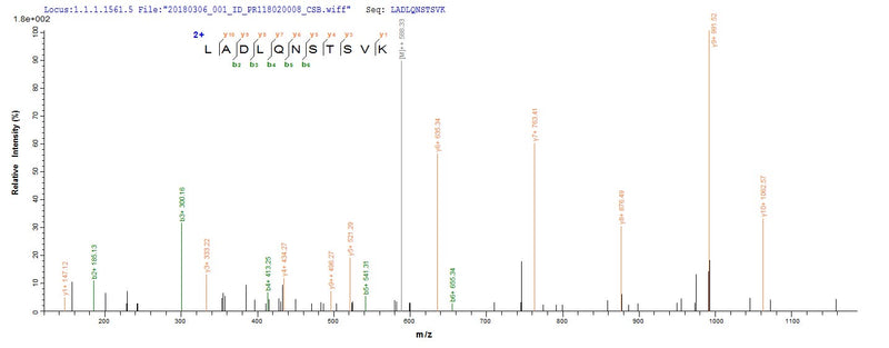 Based on the SEQUEST from database of E.coli host and target protein, the LC-MS/MS Analysis result of this product could indicate that this peptide derived from E.coli-expressed Mycoplasma pneumoniae (strain ATCC 29342 / M129) pepA.Recombinant Mycoplasma Pneumoniae Probable Cytosol Aminopeptidase (PEPA) Protein (His-SUMO)