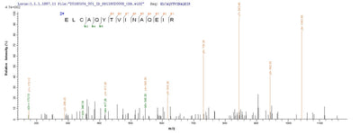 Based on the SEQUEST from database of E.coli host and target protein, the LC-MS/MS Analysis result of this product could indicate that this peptide derived from E.coli-expressed Mycoplasma pneumoniae (strain ATCC 29342 / M129) pepP.