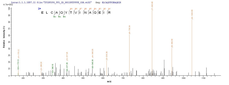 Based on the SEQUEST from database of E.coli host and target protein, the LC-MS/MS Analysis result of this product could indicate that this peptide derived from E.coli-expressed Mycoplasma pneumoniae (strain ATCC 29342 / M129) pepP.