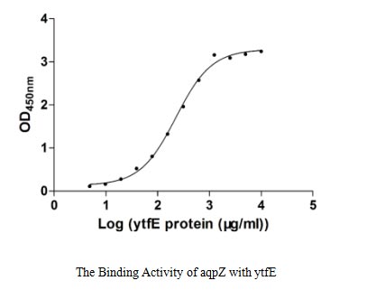 Activity Measured by its binding ability in a functional ELISA. Immobilized aqpZ at 5 μg/ml can bind E.coli ytfE, the EC 50 of E.coli ytfE protein is 197.90-259.70 μg/ml.Recombinant E.Coli Iron-Sulfur Cluster Repair Protein Ytfe (YTFE) Protein (GST), Active