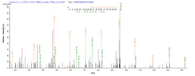 Based on the SEQUEST from database of E.coli host and target protein, the LC-MS/MS Analysis result of this product could indicate that this peptide derived from E.coli-expressed Influenza A virus (strain A/Beijing/353/1989 H3N2) NP.Recombinant Influenza A Virus Nucleoprotein (NP) Protein (His-SUMO)